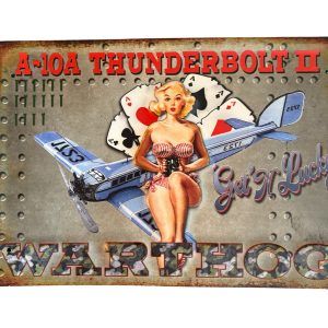 Plaque métal A-10A THUNDERBOLT II - WARTHOG