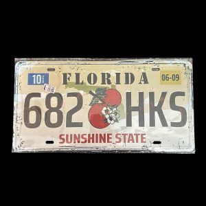 PLAQUE VOITURE FLORIDA 682 HKS