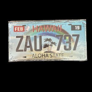 PLAQUE VOITURE HAWAII ZAU 737