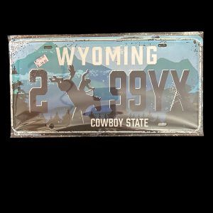 PLAQUE VOITURE WYOMING 2 99 YX
