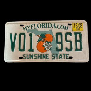 PLAQUE VOITURE FLORIDA V01 9SB