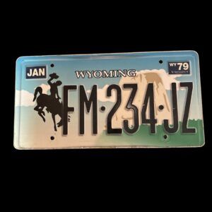 PLAQUE VOITURE EN PLASTIQUE WYOMING FM 234 JZ