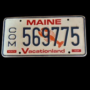 PLAQUE VOITURE MAINE 569775