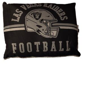 COUSSIN LAS VEGAS RAIDERS