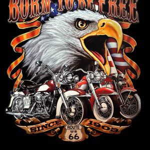 PLAQUE BORN TO BE FREE AIGLE