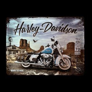 PLAQUE HARLEY DAVIDSON - BORN TO RIDE