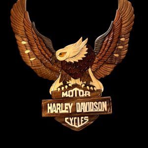 AIGLE MOTOR HARLEY DAVIDSON